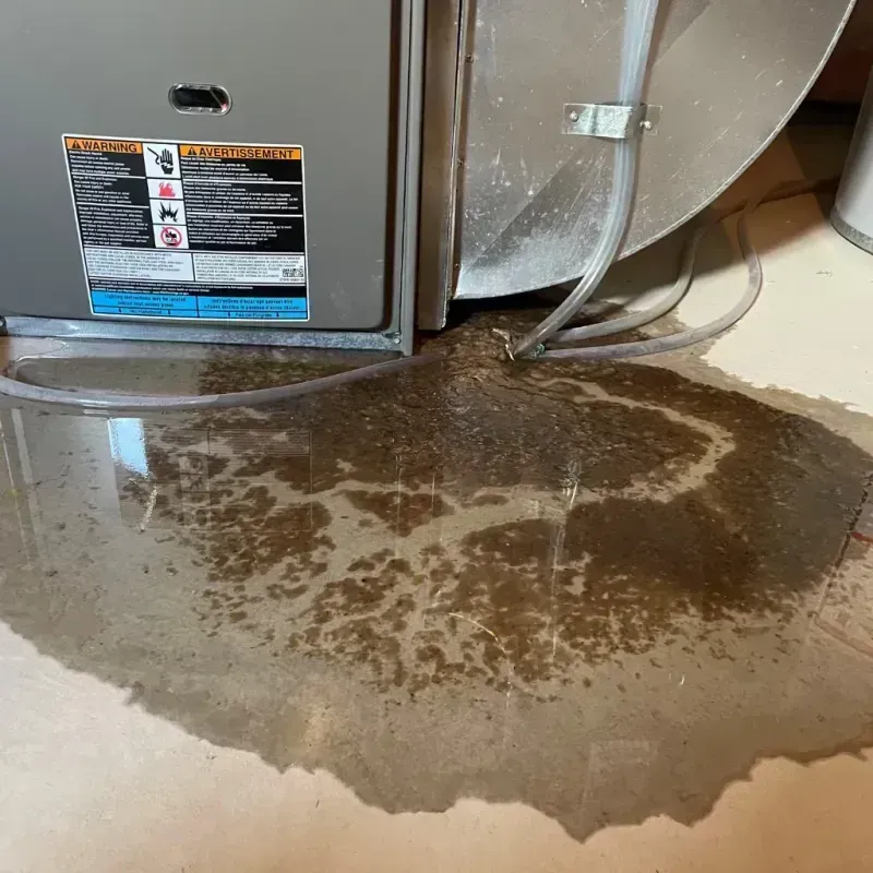 Appliance Leak Cleanup in Damascus, OR